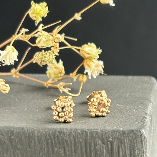 Gold stud earrings on a dark surface with dried flowers.