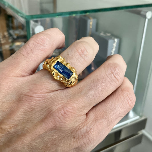 PLETHORA BLUE KYANITE SEASCAPE RING #4