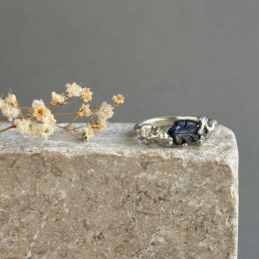 PLETHORA SEA ENCRUSTATIONS RING - KYANITE