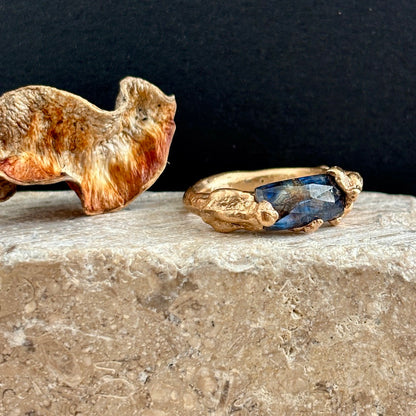 PLETHORA SEA ENCRUSTATIONS GOLD RING- KYANITE