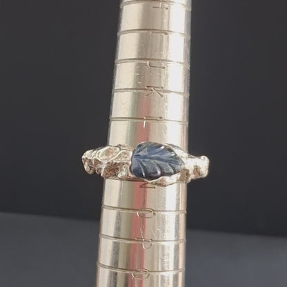 PLETHORA ENCRUSTATIONS SILVER RING
