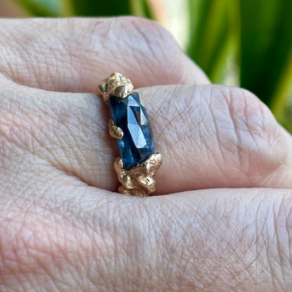 PLETHORA SEA ENCRUSTATIONS GOLD RING- KYANITE